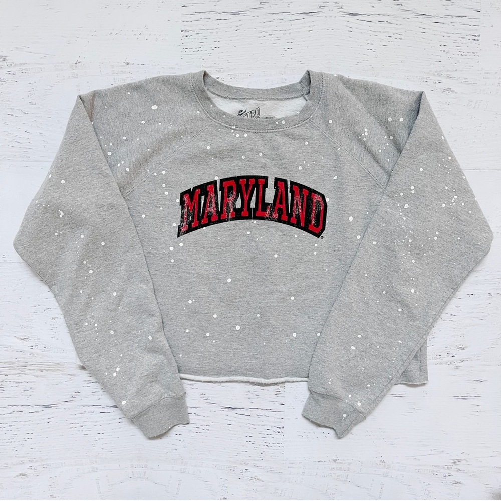 Gray Maryland Sweatshirt from Retro Brand Small